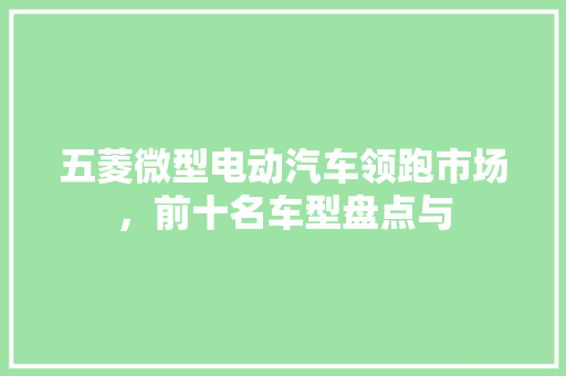 五菱微型电动汽车领跑市场，前十名车型盘点与