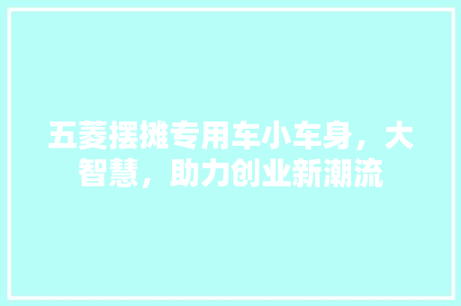 五菱摆摊专用车小车身，大智慧，助力创业新潮流