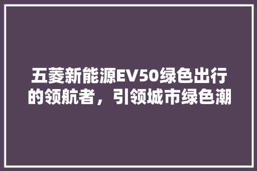 五菱新能源EV50绿色出行的领航者，引领城市绿色潮流