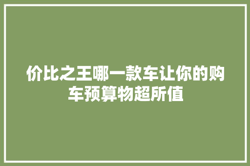 价比之王哪一款车让你的购车预算物超所值