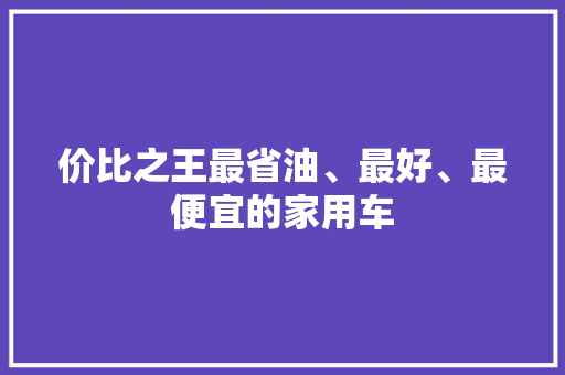 价比之王最省油、最好、最便宜的家用车
