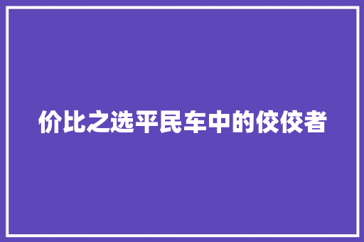价比之选平民车中的佼佼者