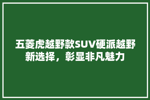 五菱虎越野款SUV硬派越野新选择，彰显非凡魅力