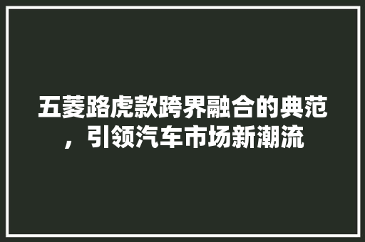 五菱路虎款跨界融合的典范，引领汽车市场新潮流