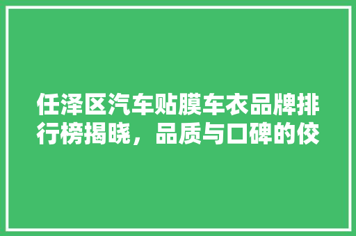 任泽区汽车贴膜车衣品牌排行榜揭晓，品质与口碑的佼佼者