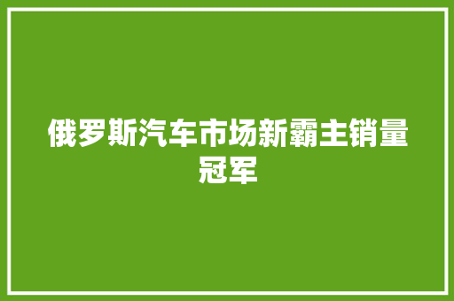 俄罗斯汽车市场新霸主销量冠军
