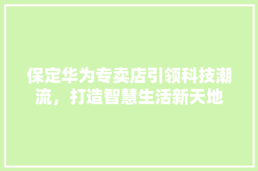 保定华为专卖店引领科技潮流，打造智慧生活新天地