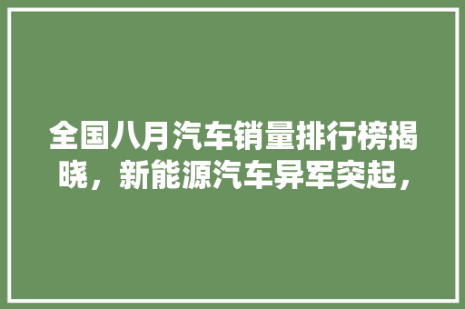 全国八月汽车销量排行榜揭晓，新能源汽车异军突起，传统车企面临挑战