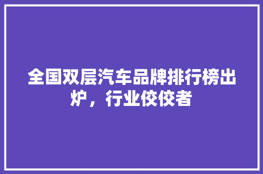 全国双层汽车品牌排行榜出炉，行业佼佼者