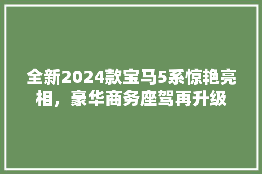 全新2024款宝马5系惊艳亮相，豪华商务座驾再升级