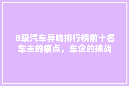 B级汽车异响排行榜前十名车主的痛点，车企的挑战