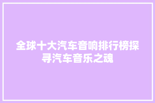 全球十大汽车音响排行榜探寻汽车音乐之魂
