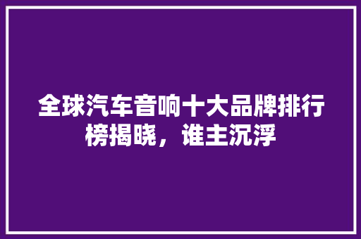 全球汽车音响十大品牌排行榜揭晓，谁主沉浮