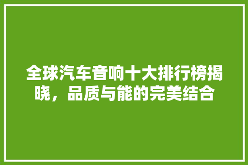 全球汽车音响十大排行榜揭晓，品质与能的完美结合