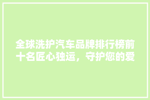 全球洗护汽车品牌排行榜前十名匠心独运，守护您的爱车风采