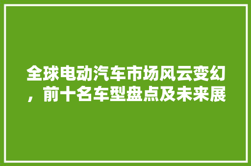全球电动汽车市场风云变幻，前十名车型盘点及未来展望