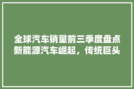 全球汽车销量前三季度盘点新能源汽车崛起，传统巨头面临挑战