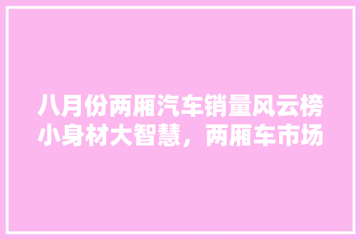 八月份两厢汽车销量风云榜小身材大智慧，两厢车市场再掀热潮