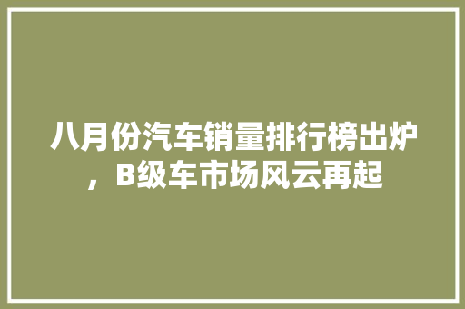 八月份汽车销量排行榜出炉，B级车市场风云再起