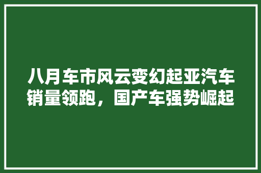 八月车市风云变幻起亚汽车销量领跑，国产车强势崛起