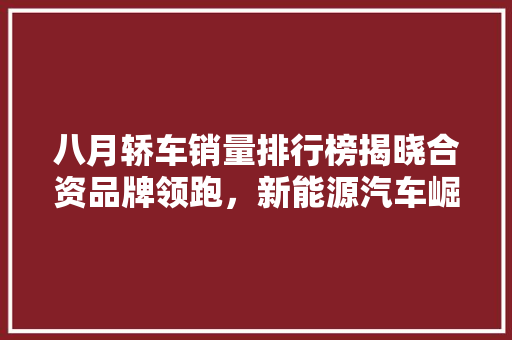 八月轿车销量排行榜揭晓合资品牌领跑，新能源汽车崛起