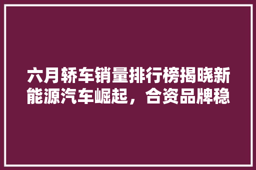 六月轿车销量排行榜揭晓新能源汽车崛起，合资品牌稳居高位