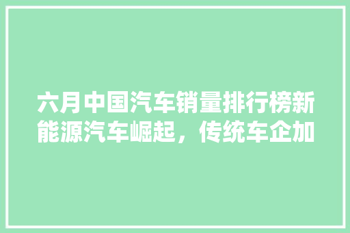 六月中国汽车销量排行榜新能源汽车崛起，传统车企加速转型