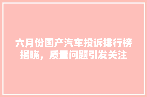 六月份国产汽车投诉排行榜揭晓，质量问题引发关注
