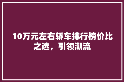 10万元左右轿车排行榜价比之选，引领潮流