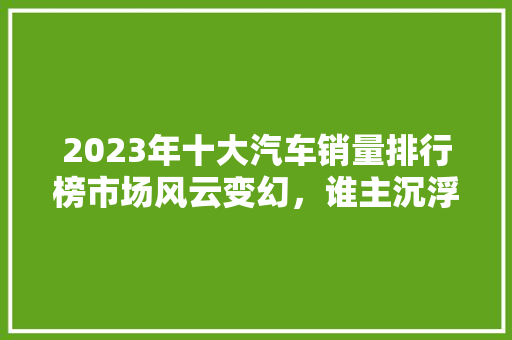 2023年十大汽车销量排行榜市场风云变幻，谁主沉浮