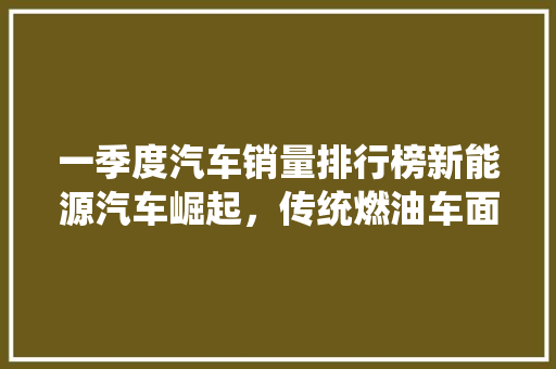 一季度汽车销量排行榜新能源汽车崛起，传统燃油车面临挑战