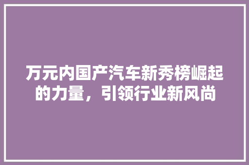 万元内国产汽车新秀榜崛起的力量，引领行业新风尚