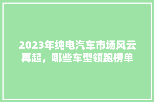 2023年纯电汽车市场风云再起，哪些车型领跑榜单