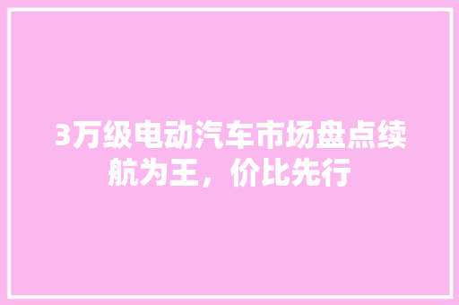 3万级电动汽车市场盘点续航为王，价比先行