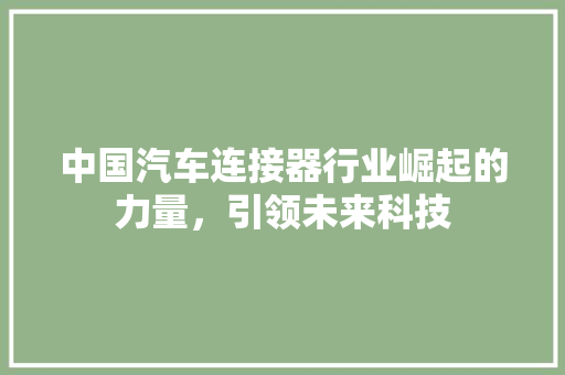 中国汽车连接器行业崛起的力量，引领未来科技