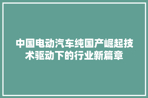 中国电动汽车纯国产崛起技术驱动下的行业新篇章