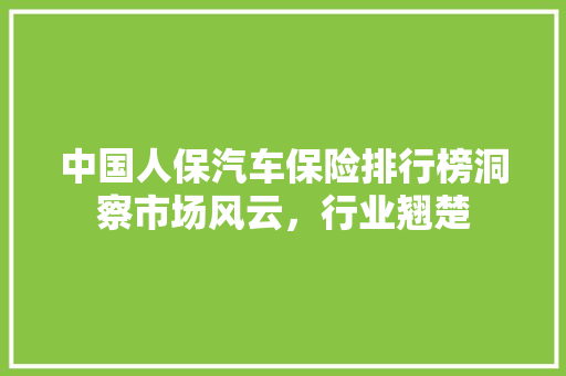 中国人保汽车保险排行榜洞察市场风云，行业翘楚