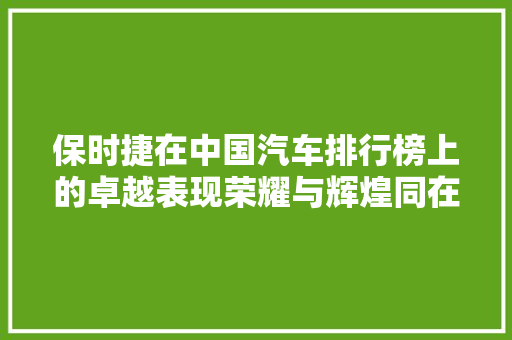 保时捷在中国汽车排行榜上的卓越表现荣耀与辉煌同在