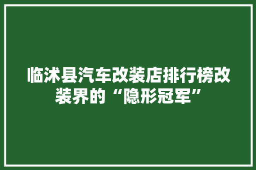 临沭县汽车改装店排行榜改装界的“隐形冠军”