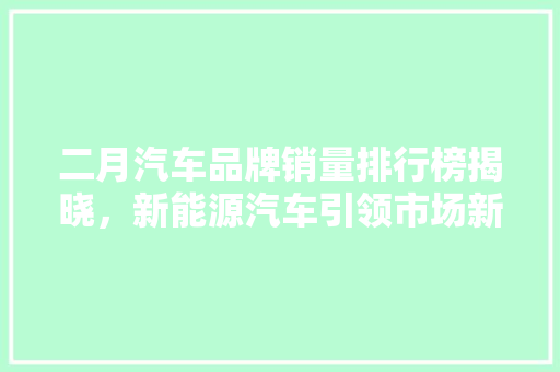 二月汽车品牌销量排行榜揭晓，新能源汽车引领市场新风向