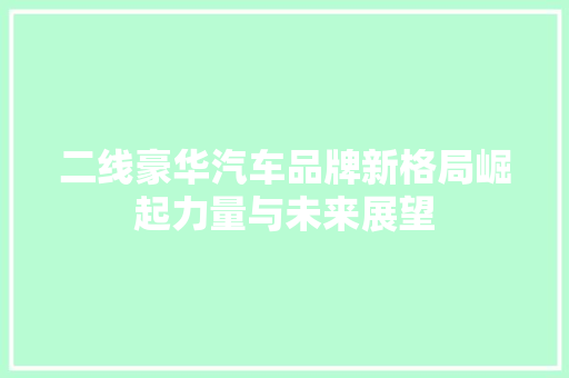 二线豪华汽车品牌新格局崛起力量与未来展望