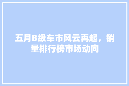 五月B级车市风云再起，销量排行榜市场动向
