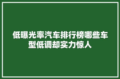低曝光率汽车排行榜哪些车型低调却实力惊人