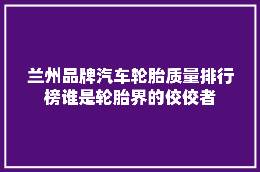 兰州品牌汽车轮胎质量排行榜谁是轮胎界的佼佼者