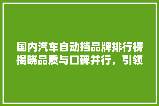 国内汽车自动挡品牌排行榜揭晓品质与口碑并行，引领行业发展新趋势