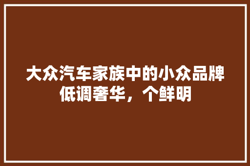 大众汽车家族中的小众品牌低调奢华，个鲜明