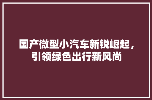 国产微型小汽车新锐崛起，引领绿色出行新风尚
