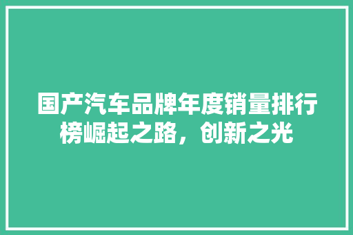 国产汽车品牌年度销量排行榜崛起之路，创新之光