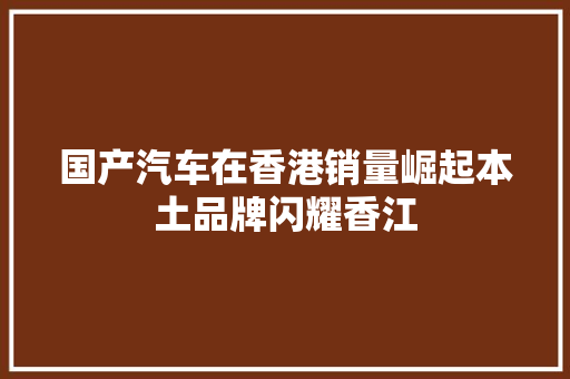 国产汽车在香港销量崛起本土品牌闪耀香江