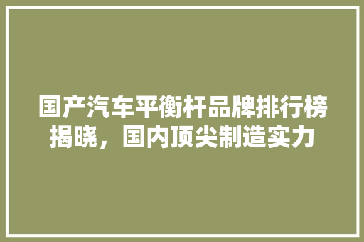 国产汽车平衡杆品牌排行榜揭晓，国内顶尖制造实力